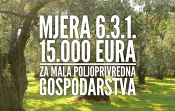 mjera 6.3.1